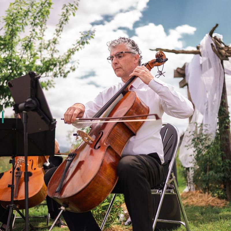 Cellist spielt während der Trauung unter freiem Himmel